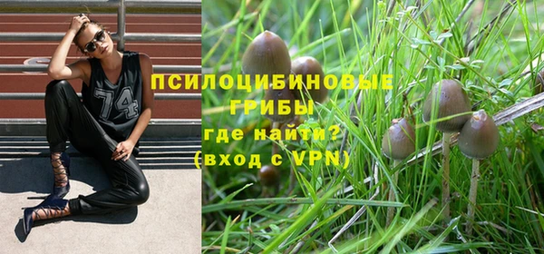 PSILOCYBIN Армянск