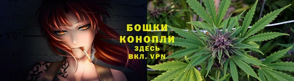 гашик Балахна