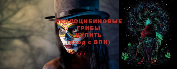 ешки Аркадак
