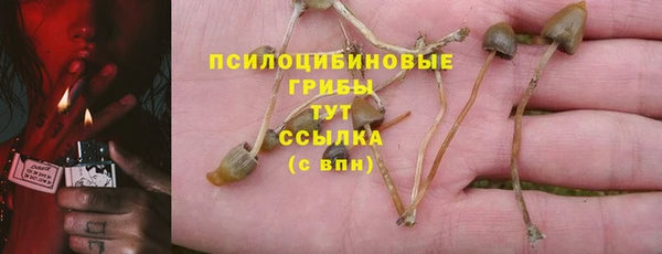 PSILOCYBIN Армянск