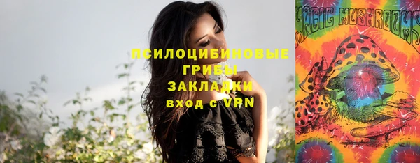 ешки Аркадак