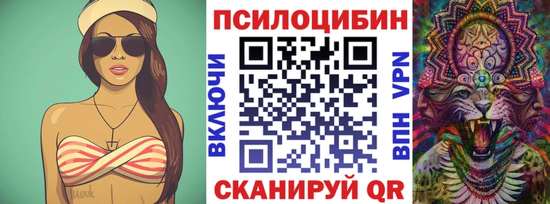 где найти наркотики  сайты даркнета телеграм  Галлюциногенные грибы прущие грибы  Пугачёв 